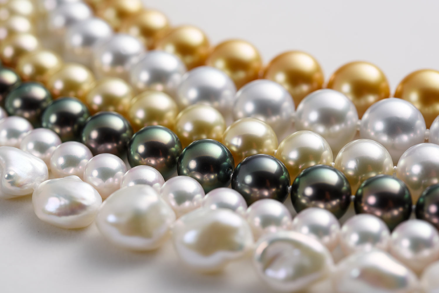 Jewelry wholesaler dealing with pearls and diamond, TOKYO PEARL